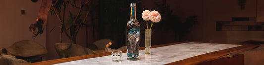 Seafood & Mezcal Origen: The Art of a Perfect Coastal Pairing