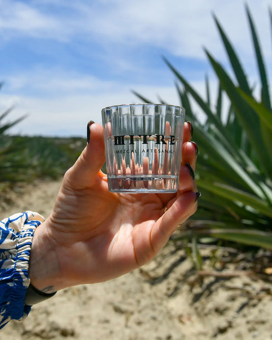 Denomination of Origin: Why It Matters in Mezcal