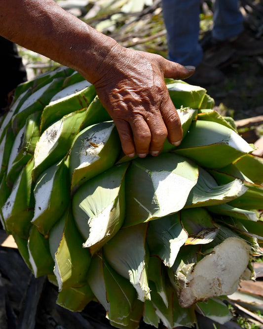Mezcal Origins: The History and Heritage Behind the Spirit